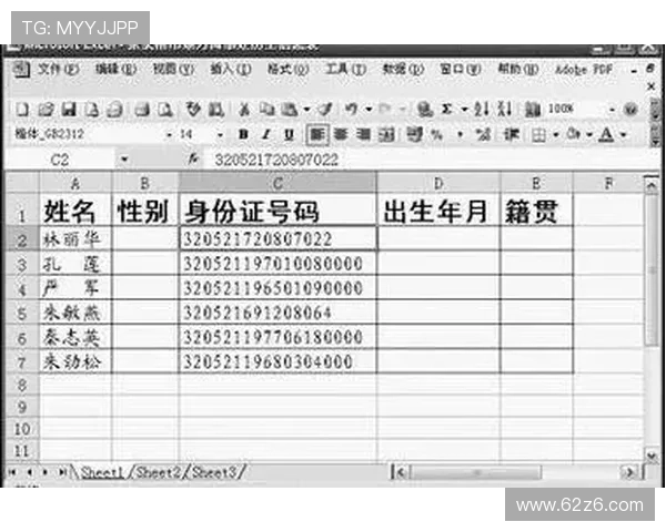 大乐透开奖数据Excel表格下载与历史记录查询